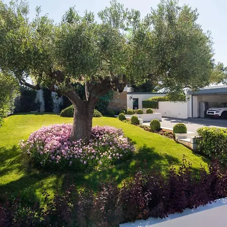 F & B Summer Family - Kassandra - *