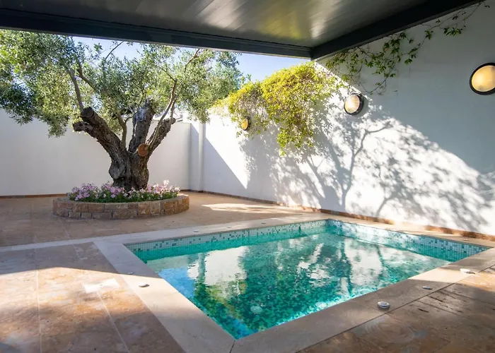 F & B Summer Family - Kassandra -